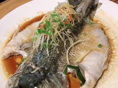 清蒸鲈鱼-YAFEE雅菲·粤菜·湘菜·融合菜(魏公村店)