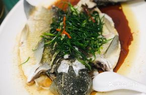 Steamed Carp in Spring Water