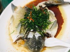 清蒸泉水鲩鱼-成惠食府(赤岗店)