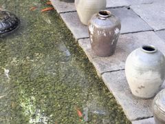 -几荷·恰似故人来(秀水广场店)