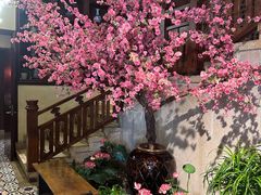 -東大方(安吉灵芝店)