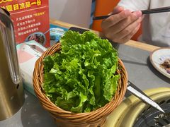 -蔡马洪涛烤肉·老北京火锅(未来科技城店)