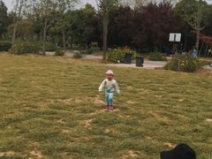 -蜀冈西峰生态公园