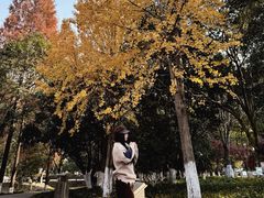 -峙山公园