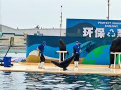 -秦皇岛乐岛海洋王国