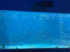 -常州海昌海洋探索馆