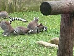 -上海动物园(地铁站)