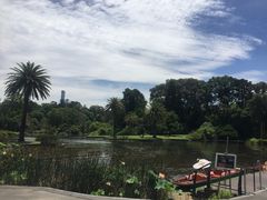 -墨尔本皇家植物园