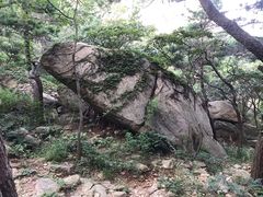 -崂山仰口游览区