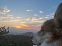 -齐岳山