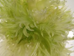 -一家人(南京路店)