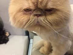 -小时光咖啡馆(开森度假森林店)