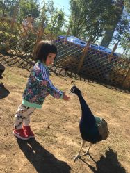 -萌宠亲子动物乐园(槐房万达店)