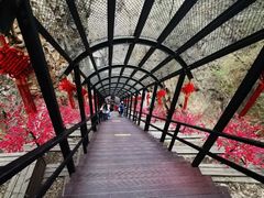 -京东石林峡风景区