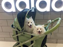 -丽达购物中心(崂山店)