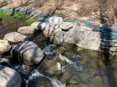 -白水寺森林公园