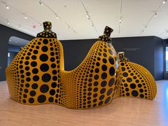 -旧金山现代艺术博物馆