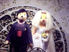 -济州岛泰迪熊博物馆