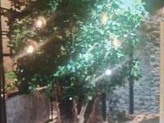 -青水瓦台汤泉(未央店)