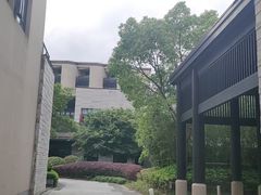 -上海崇明金茂凯悦酒店