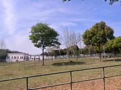 -合肥野生动物园