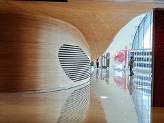 -哈尔滨大剧院