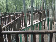 -陶祖圣境风景区