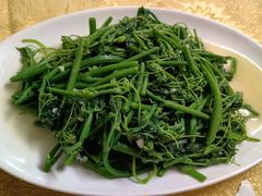 蒜蓉炒佛手瓜叶-粤友餐厅