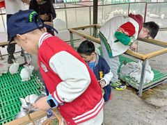 -史努比缤纷世界