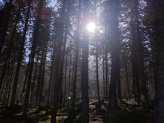 -硗碛藏寨·神木垒景区