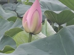 -长春市南湖公园