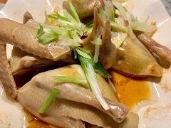 沙姜乳鸽-旺金鸽(穗盐路总店)