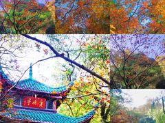 -岳麓山风景名胜区