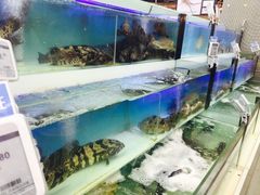 -盒马鲜生(宝地店)