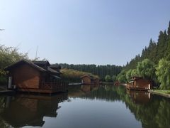 -金岛生态园烧烤露营地
