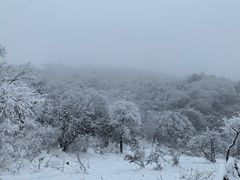 -武陵山森林公园
