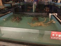 -尚海豆捞(乐虹坊店)