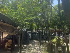 -土砂锅生态山庄·非遗砂锅雅鱼