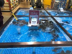 水产区-七鲜超市(通州ONE店)