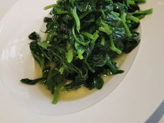 清炒豌豆尖-马旺子酒楼