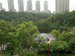 -重庆彩云湖湿地公园