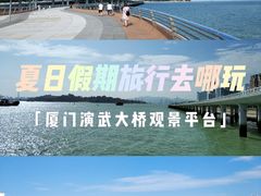 -演武大桥观景平台