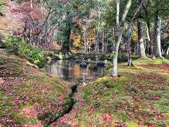 -西芳寺(苔寺)