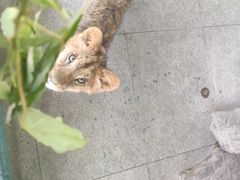 -秦皇岛野生动物园