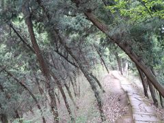 -金堂县云顶石城风景区