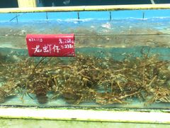 -旺富东海大酒楼(海鲜街店)