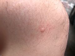 -Wagas沃歌斯(大学路店)