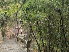 -草庵摩尼教遗址公园