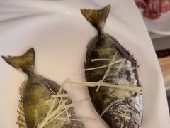 -青蓬蒸汽海鲜·深圳老字号·团建聚会(壹方城店)