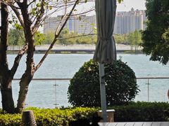 -东方美谷JW万豪酒店·The lounge大堂吧